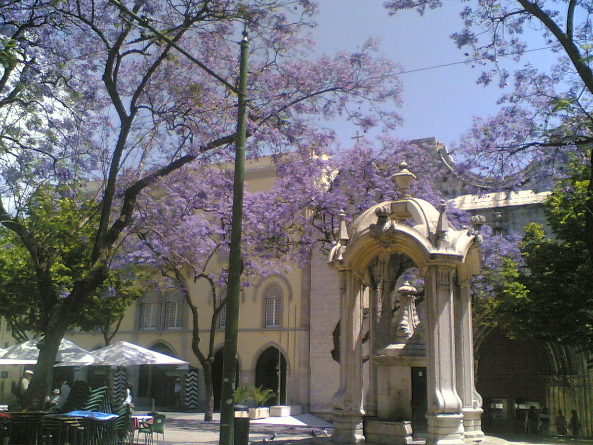 1200px-LargodoCarmo